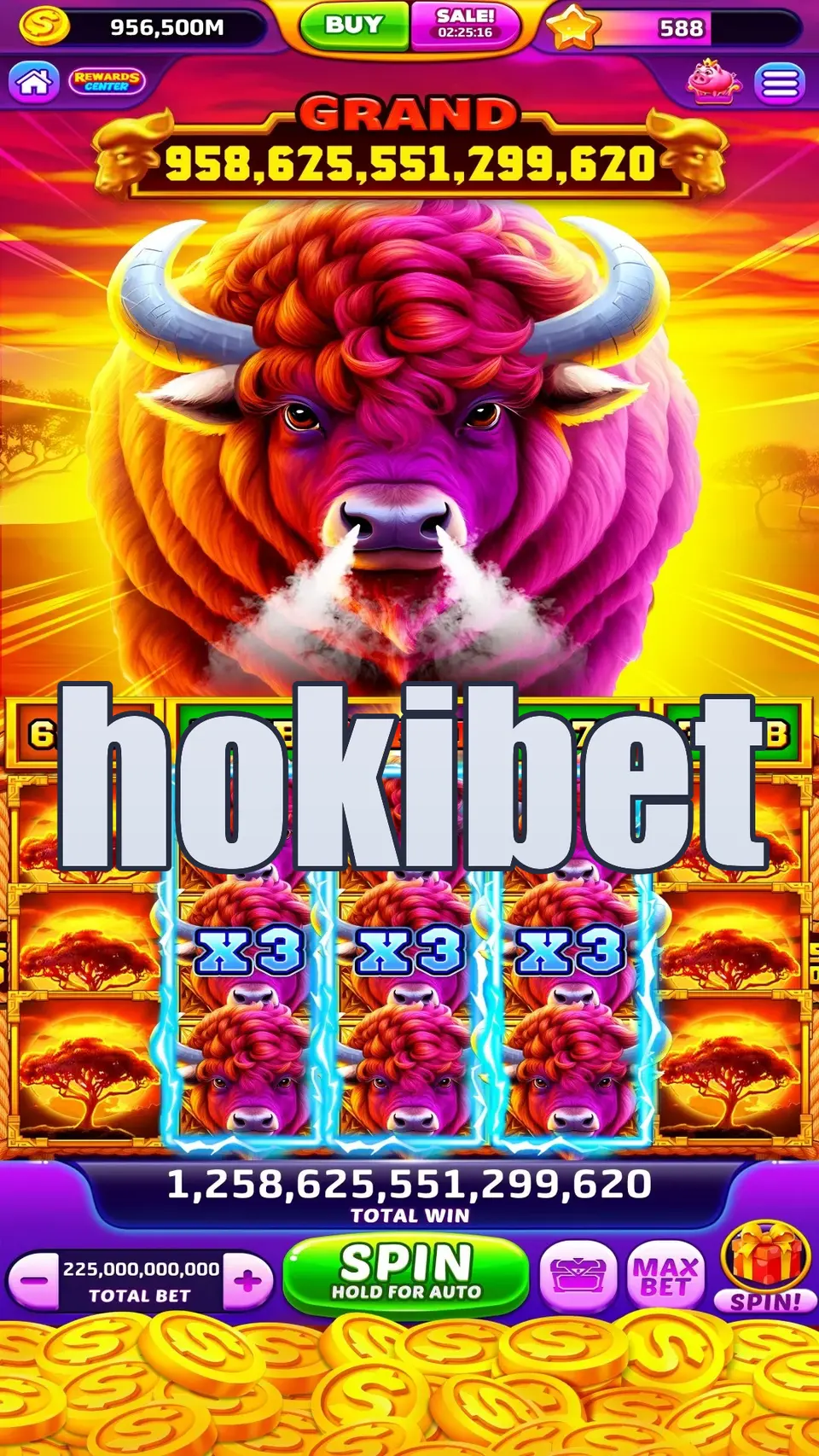 hokibet Masuk